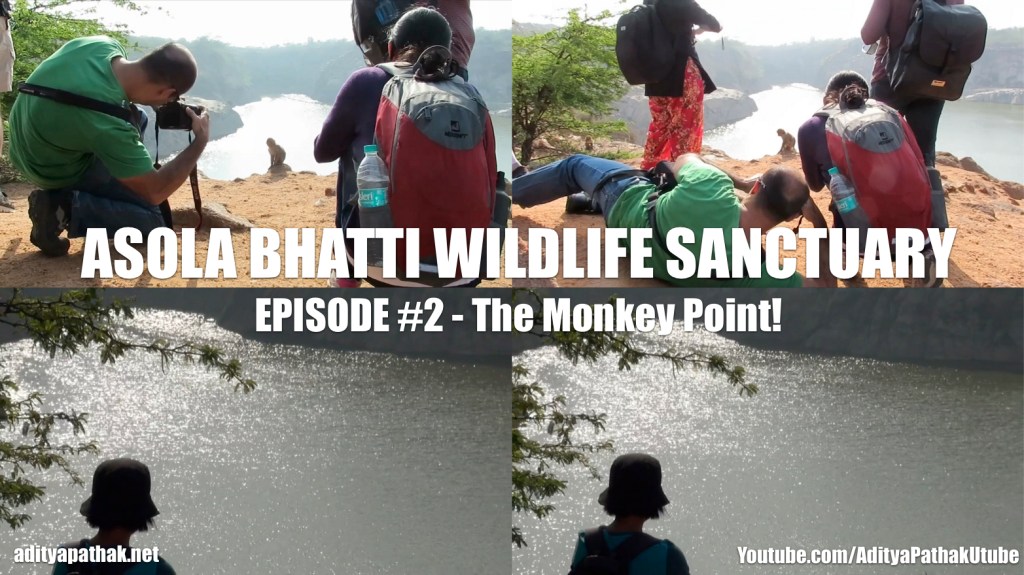 Asola Bhatti Wildlife Sanctuary – Episode 2 : The Monkey Point!
