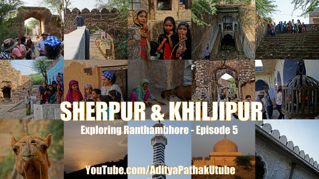 Ruins at Sherpur and Khiljipur village near&nbsp;Ranthambhore!