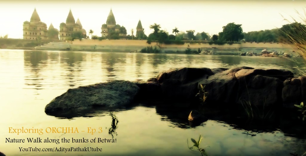 Nature Walk along the banks of Betwa :)