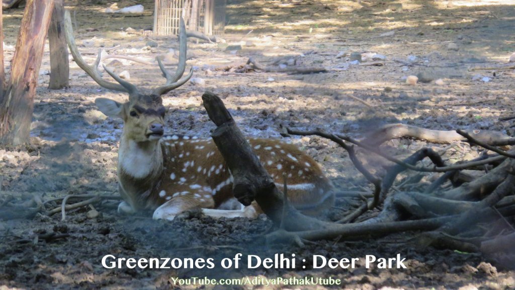 Deer Park : Greenzones of Delhi – Hauz Khas – Part 2