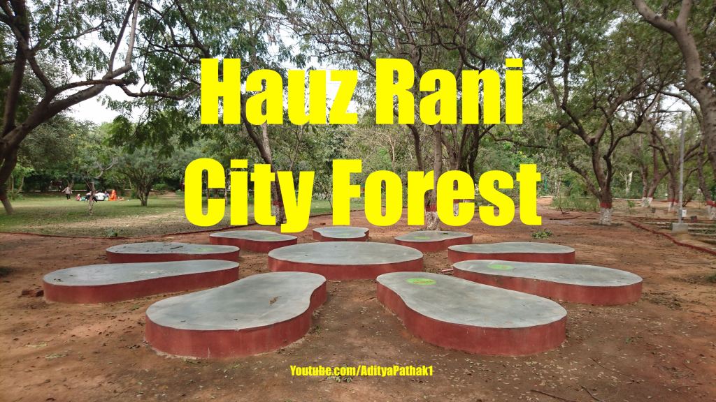 City Forest Hauz Rani – Tranquil Places in Delhi