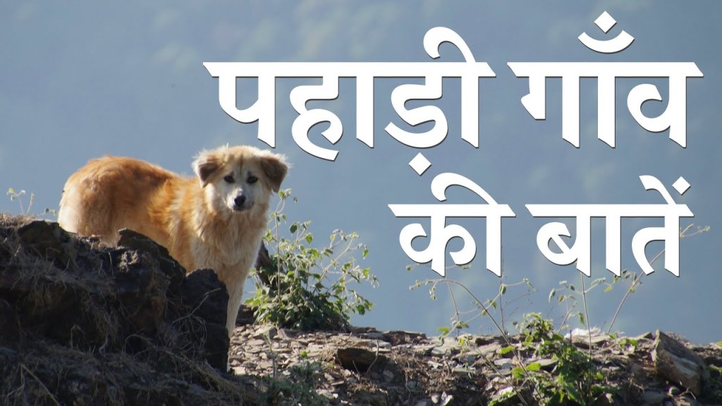 Pahaadi Gaanv ki baatein | Bhadraj Mela – Jaunsar – Jaunpur